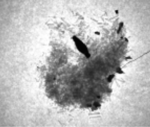 截圖 2025-11-06 上午11.14.13.png